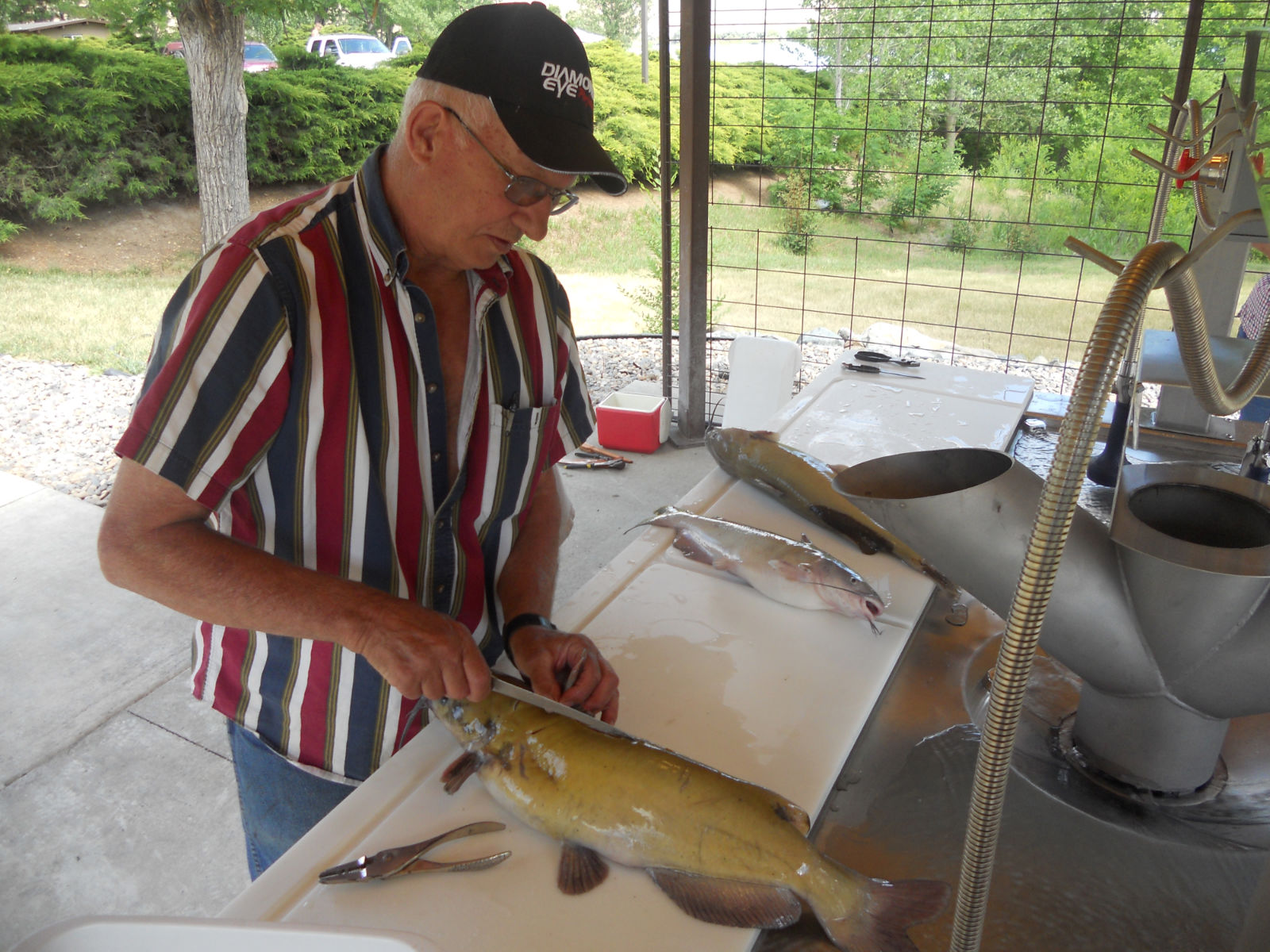This angler was one of the first to fillet his fish and dispose of the carcass in the new grinder.